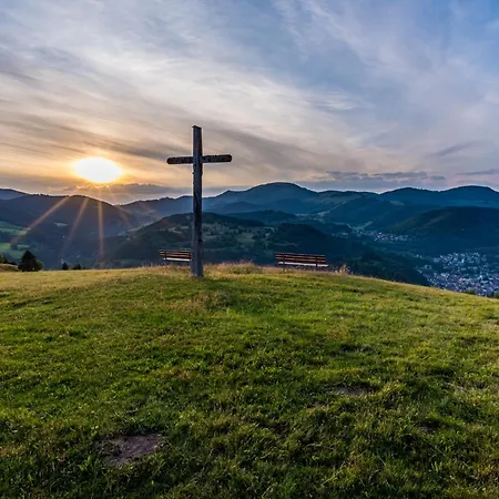 Gaestehaus Holzer Kreuz - Gaestezimmer Veilchen Fuer 2 Personen Inkl Landfruehstueck * Frohnd