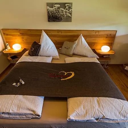 Apartamento Holzer Kreuz - Gästezimmer Veilchen Für 2 Personen Inkl Landfrühstück Frohnd